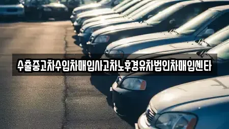 서울특별시 강남구 일원동 중고차매입 전문 수출중고차수입차매입사고차노후경유차법인차매입센타