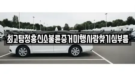 서울특별시 강남구 일원동 중고차매입 전문 최고탐정흥신소불륜증거미행사람찾기심부름
