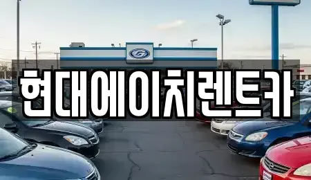 서울특별시 강남구 자곡동 렌트카 전문 현대에이치렌트카