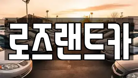 서울특별시 강남구 자곡동 장기렌트카 전문 로즈랜트카