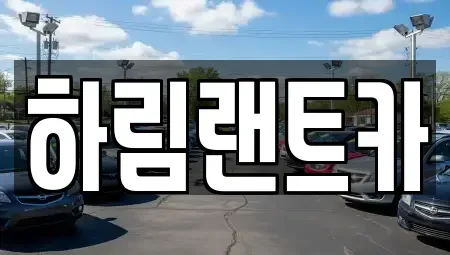 서울특별시 강남구 자곡동 장기렌트카 전문 하림랜트카