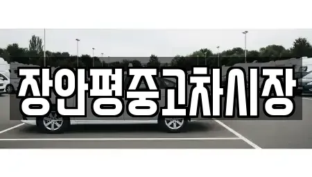 서울특별시 강남구 자곡동 중고차 전문 장안평중고차시장