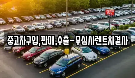 서울특별시 강남구 자곡동 중고차 전문 중고차구입,판매,수출-무심사렌트차결사