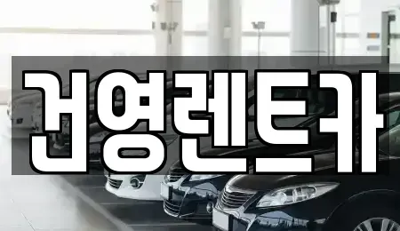 서울특별시 강동구 명일동 단기렌트카 전문 건영렌트카
