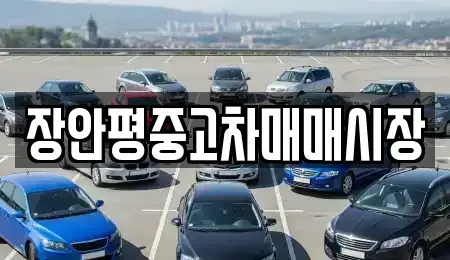 서울특별시 강동구 명일동 중고차 전문 장안평중고차매매시장