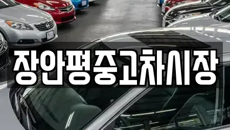 서울특별시 강동구 명일동 중고차 전문 장안평중고차시장