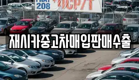 서울특별시 강동구 명일동 중고차매입 전문 재시카중고차매입판매수출