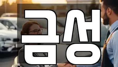 서울특별시 도봉구 도봉동 렌트카 전문 금성