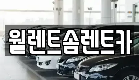 서울특별시 도봉구 도봉동 렌트카 전문 월렌트솜렌트카