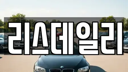 서울특별시 도봉구 도봉동 장기렌트카 전문 리스데일리