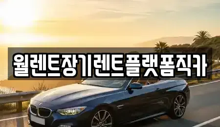 서울특별시 도봉구 도봉동 장기렌트카 전문 월렌트장기렌트플랫폼직카