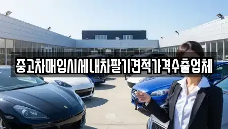 서울특별시 도봉구 도봉동 중고차 전문 중고차매입시세내차팔기견적가격수출업체