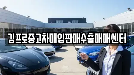 서울특별시 도봉구 도봉동 중고차매입 전문 김프로중고차매입판매수출매매센터