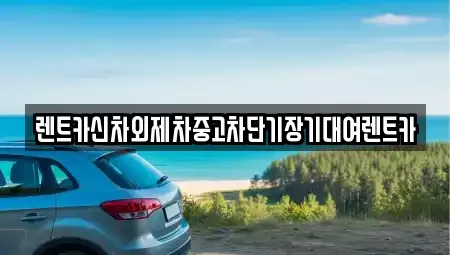 서울특별시 동작구 흑석동 단기렌트카 전문 렌트카신차외제차중고차단기장기대여렌트카