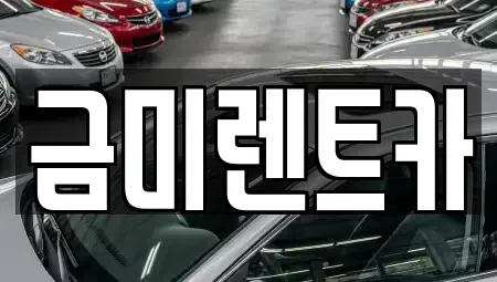 서울특별시 동작구 흑석동 렌트카 전문 금미렌트카