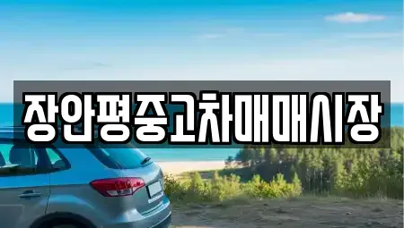 서울특별시 동작구 흑석동 중고차 전문 장안평중고차매매시장