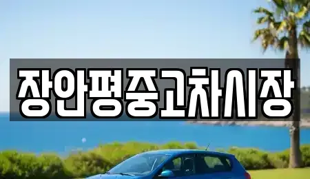 서울특별시 동작구 흑석동 중고차매매 전문 장안평중고차시장