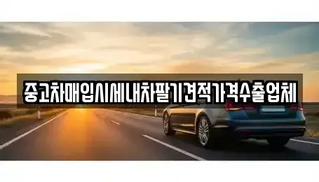 서울특별시 동작구 흑석동 중고차매매,단기렌트카,중고차매입,장기렌트카,중고차,렌트카