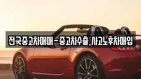 서울특별시 동작구 흑석동 중고차매입 전문 전국중고차매매-중고차수출,사고노후차매입