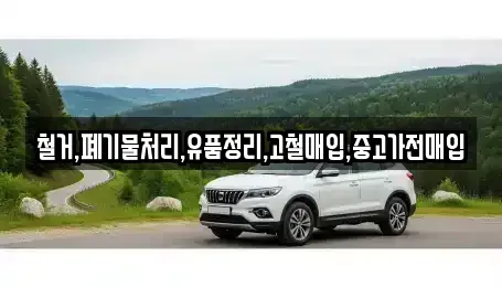 서울특별시 동작구 흑석동 중고차매입 전문 철거,폐기물처리,유품정리,고철매입,중고가전매입