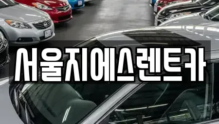서울특별시 양천구 목동 렌트카 전문 서울지에스렌트카
