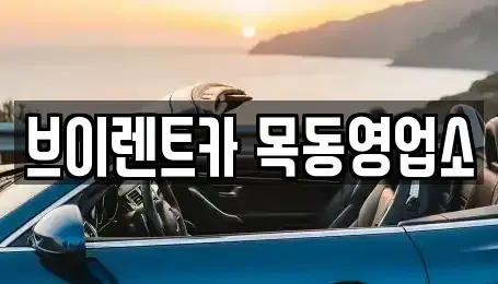 서울특별시 양천구 목동 장기렌트카 전문 브이렌트카 목동영업소