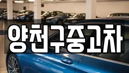 서울특별시 양천구 목동 중고차 전문 양천구중고차