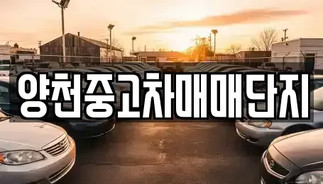 서울특별시 양천구 목동 중고차 전문 양천중고차매매단지