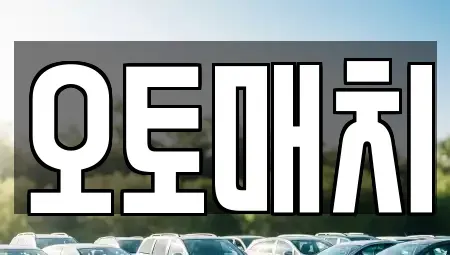 서울특별시 양천구 목동 중고차 전문 오토매치