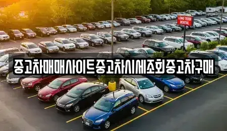 서울특별시 양천구 목동 중고차 전문 중고차매매사이트중고차시세조회중고차구매