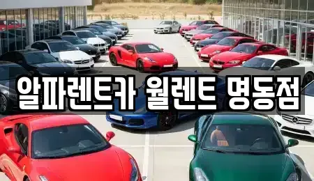 서울특별시 중구 저동1가 렌트카 전문 알파렌트카 월렌트 명동점