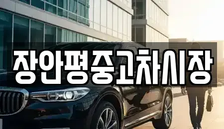 서울특별시 중구 저동1가 중고차 전문 장안평중고차시장
