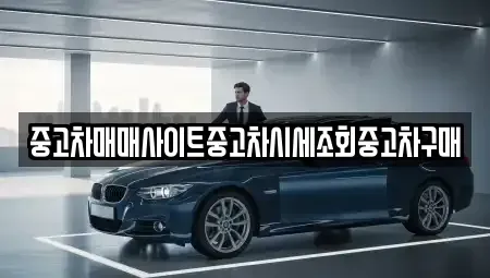 서울특별시 중구 저동1가 중고차 전문 중고차매매사이트중고차시세조회중고차구매