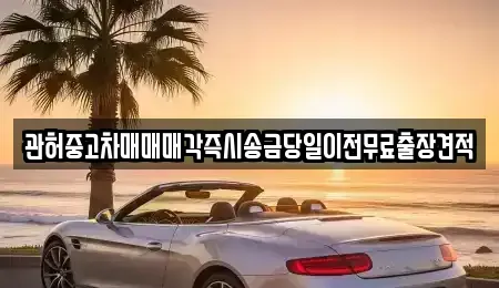 서울특별시 중구 중림동 중고차 전문 관허중고차매매매각즉시송금당일이전무료출장견적