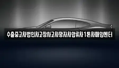 서울특별시 중구 중림동 중고차 전문 수출중고차법인차고장사고차망자차압류차1톤차매입센터