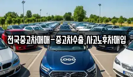 서울특별시 중구 중림동 중고차 전문 전국중고차매매-중고차수출,사고노후차매입