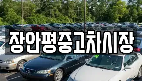 서울특별시 중구 중림동 중고차매매 전문 장안평중고차시장