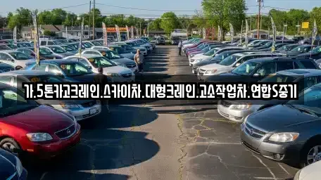 서울특별시 중구 중림동 중고차매입 전문 가.5톤카고크레인.스카이차.대형크레인.고소작업차.연합S중기