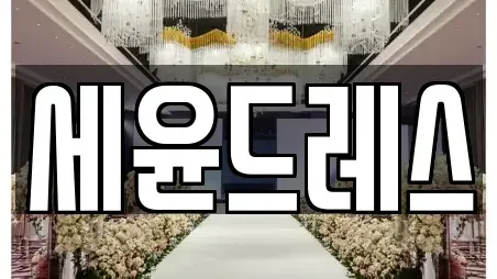 세윤드레스