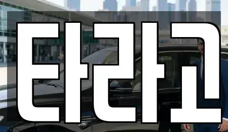 세종 반곡동 단기렌트카 전문 타라고