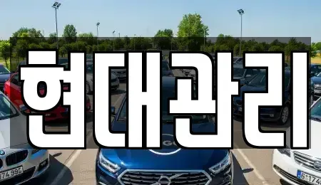 세종 반곡동 렌트카 전문 현대관리