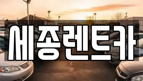 세종 반곡동 장기렌트카 전문 세종렌트카