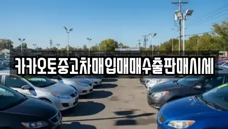 세종 반곡동 중고차 전문 카카오토중고차매입매매수출판매시세
