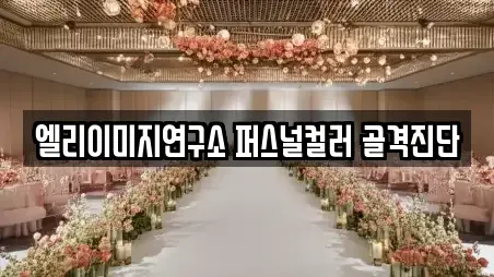 엘리이미지연구소 퍼스널컬러 골격진단
