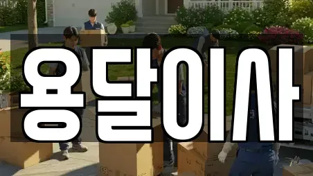 용달이사