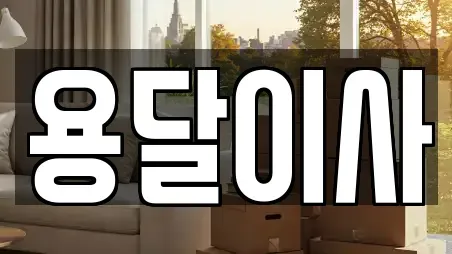 용달이사