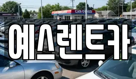 울산광역시 울주군 삼동면 렌트카 전문 예스렌트카