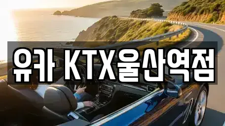 울산광역시 울주군 삼동면 렌트카 전문 유카 KTX울산역점
