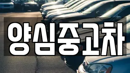 인천 남동구 도림동 중고차매매,단기렌트카,중고차매입,장기렌트카,중고차,렌트카