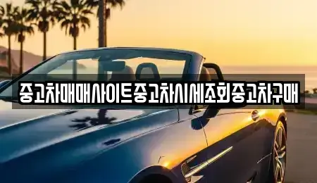 인천 남동구 도림동 중고차매매 전문 중고차매매사이트중고차시세조회중고차구매